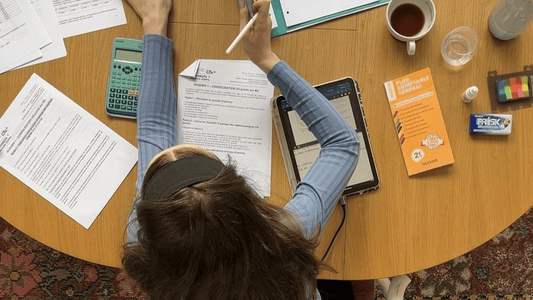 overhead shot of girl studying
